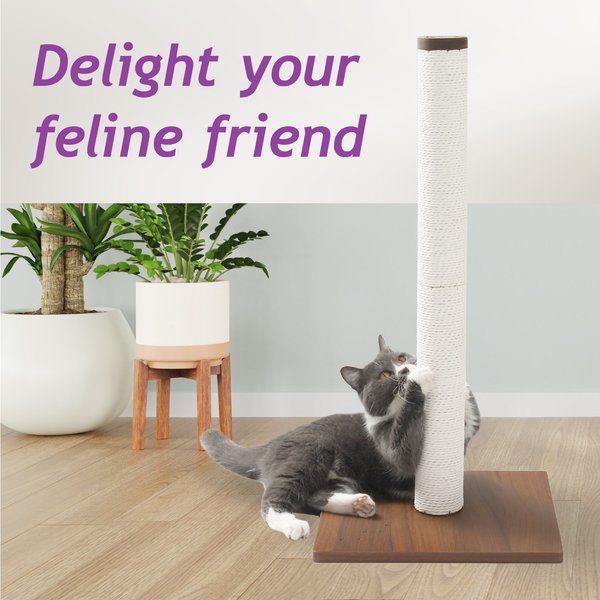 Show full view: Necoichi Premium Comfort 23.6-in Cat Scratching Post, Dark Cherry/Brown, Large slide 4 of 8
