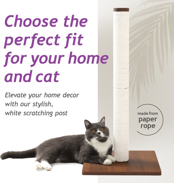 Show full view: Necoichi Premium Comfort 23.6-in Cat Scratching Post, Dark Cherry/Brown, Large slide 2 of 8