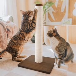 Necoichi Premium Comfort 23.6-in Cat Scratching Post, Dark Cherry/Brown, Regular