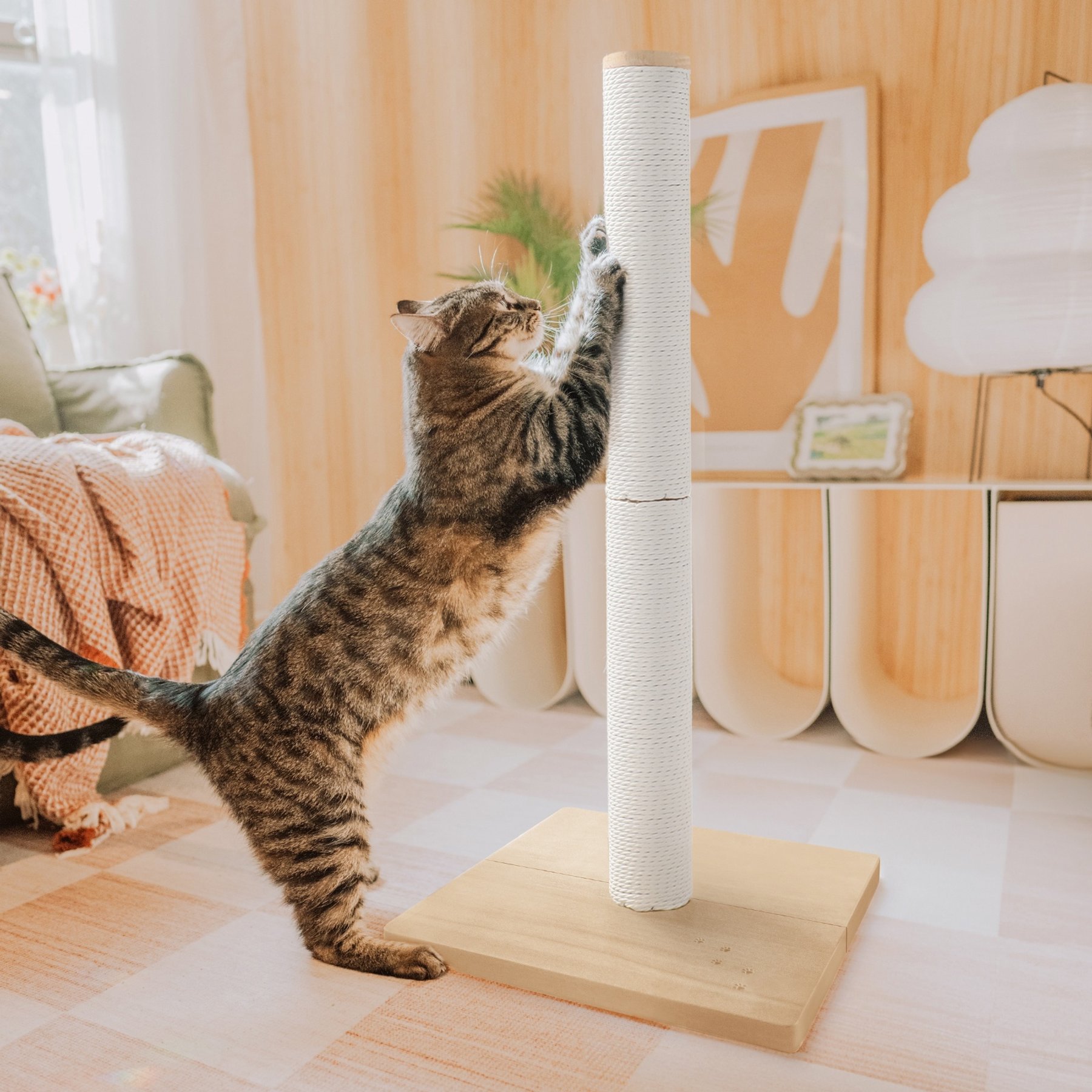 NECOICHI Premium Comfort 23.6-in Cat Scratching Post, Dark