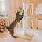 Show in main carousel: Necoichi Premium Comfort 23.6-in Cat Scratching Post, Oak/Brown, Large slide 1 of 8