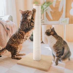 Necoichi Premium Comfort 23.6-in Cat Scratching Post, Oak/Brown, Regular