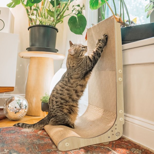 Show full view: Necoichi Premium Comfort Cat Scratcher Wall, Oak/Brown, Regular slide 1 of 9