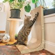 Show in main carousel: Necoichi Premium Comfort Cat Scratcher Wall, Oak/Brown, Regular slide 1 of 9