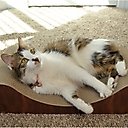 Necoichi Premium Comfort Curved Cat Lounger, Dark Cherry, Large