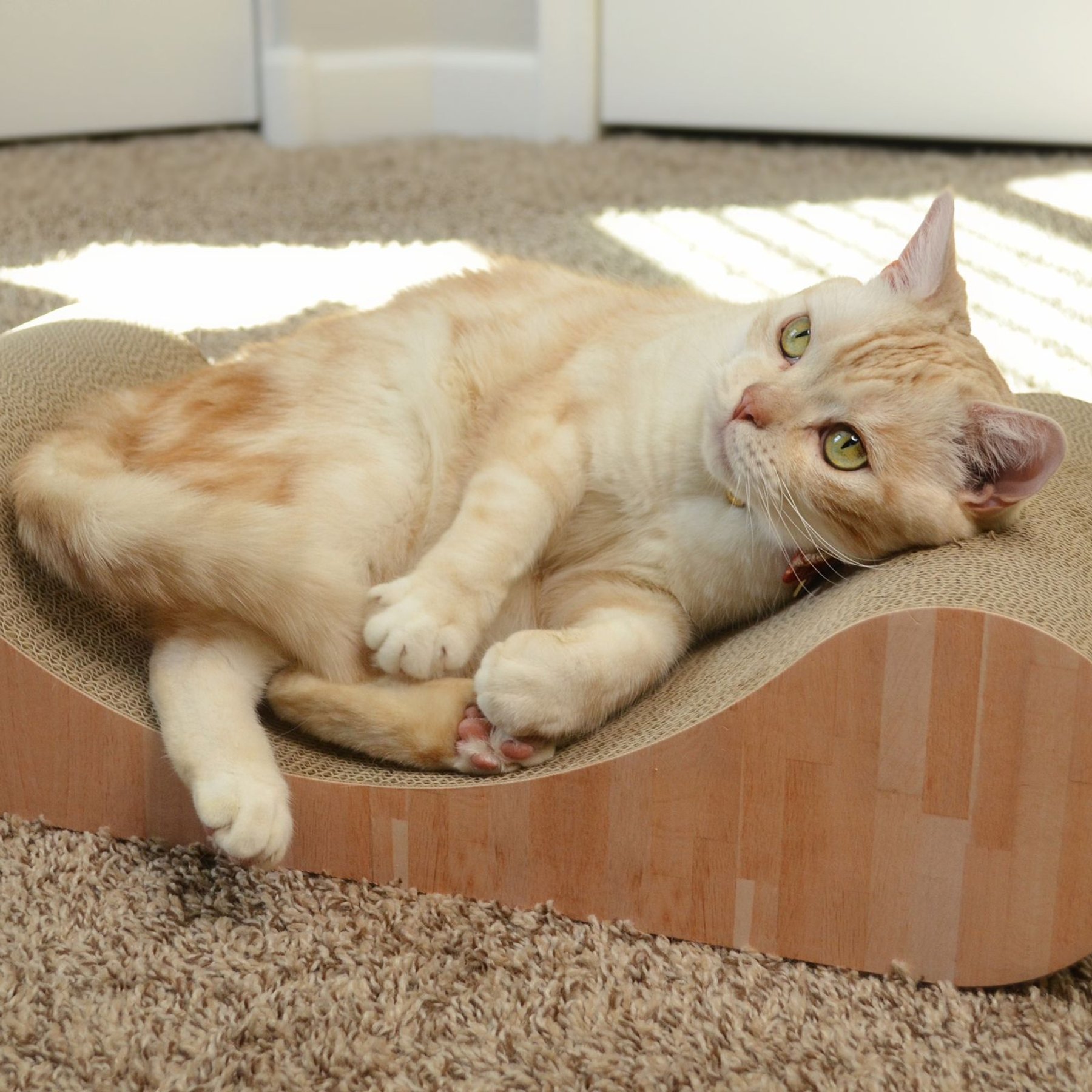 Necoichi Premium Comfort Curved Cat Lounger, Oak, Large