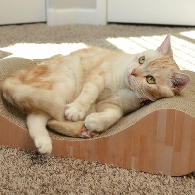 Necoichi Necoichi Premium Comfort Curved Cat Lounger, Oak, Large