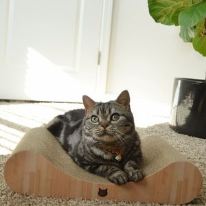 Best Pet Supplies Catify Sloped Sisal Cat Scratcher