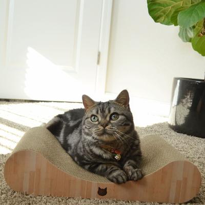 NECOICHI Premium Comfort Curved Cat Lounger, Oak, Medium - Chewy.com
