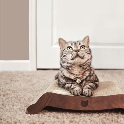 Necoichi Necoichi Premium Comfort Reversible Cat Bed, Dark Cherry, Medium