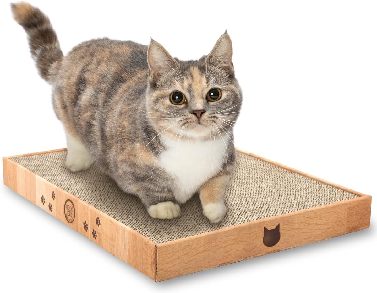 NECOICHI Premium High-Density Cat Scratcher, Oak, Wide - Chewy.com