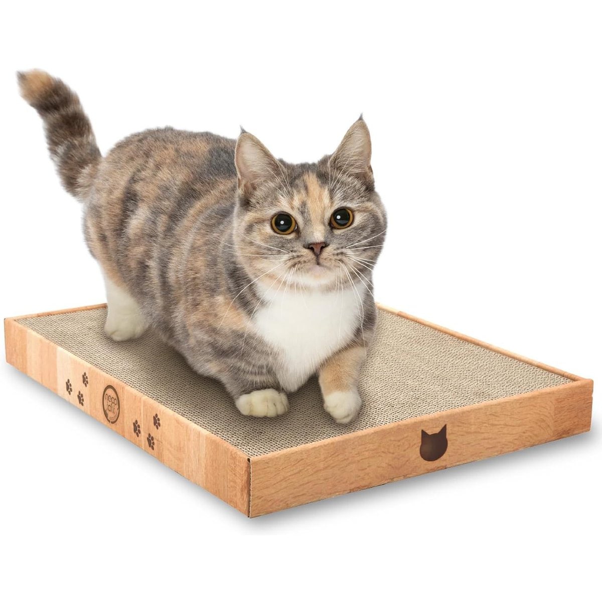 Necoichi Premium High-Density Cat Scratcher, Oak, Wide