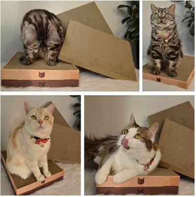 Show full view: Necoichi Premium High-Density Cat Scratcher Toy Replacement Pad, 2 count, Oak/Dark Cherry, Wide slide 4 of 6