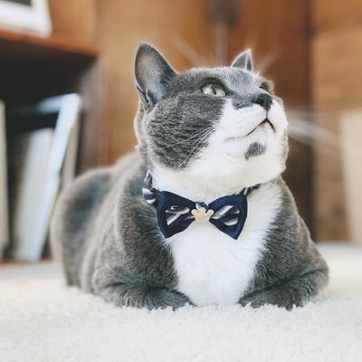 Show full view: Necoichi Regal Crown Cotton Breakaway Cat Collar with Bell, Navy, 8.2 to 13.7-in neck, 2/5-in wide slide 8 of 9