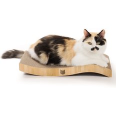 battery powered cat water fountain uk Cat Ceramic Wireless Drinking Fountain, Rechargeable, Motion Activated   Fussy Cat