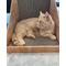 Show in main carousel: Necoichi Stretch & Scratch Wall Cat Scratcher Toy slide 9 of 11