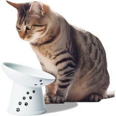Necoichi Tilted Stress Free Raised Cat Food Bowl, 2 cup, Cat
