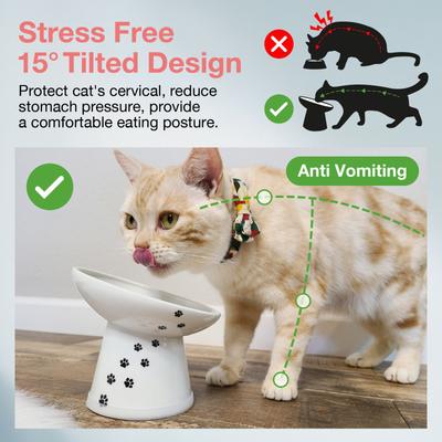 Show full view: Necoichi Tilted Stress Free Raised Cat Food Bowl, 2 cup, Cat slide 2 of 10