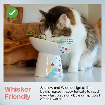 Show full view: Necoichi Tilted Stress Free Raised Cat Food Bowl, 2 cup, Fuji slide 3 of 11