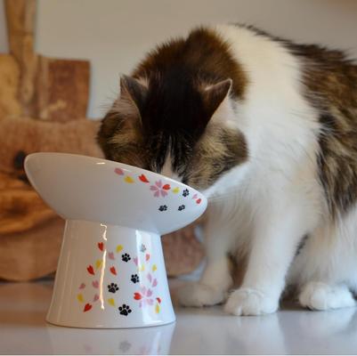 Show full view: Necoichi Tilted Stress Free Raised Cat Food Bowl, 2 cup, Sakura slide 9 of 11