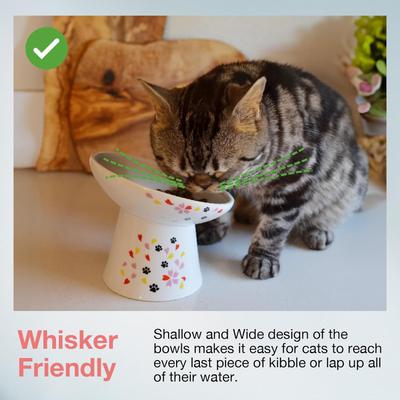 Show full view: Necoichi Tilted Stress Free Raised Cat Food Bowl, 2 cup, Sakura slide 3 of 11