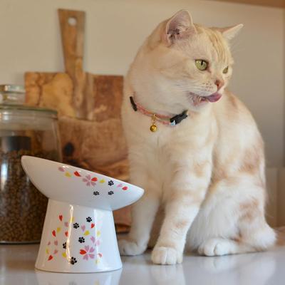Show full view: Necoichi Tilted Stress Free Raised Cat Food Bowl, 2 cup, Sakura slide 7 of 11