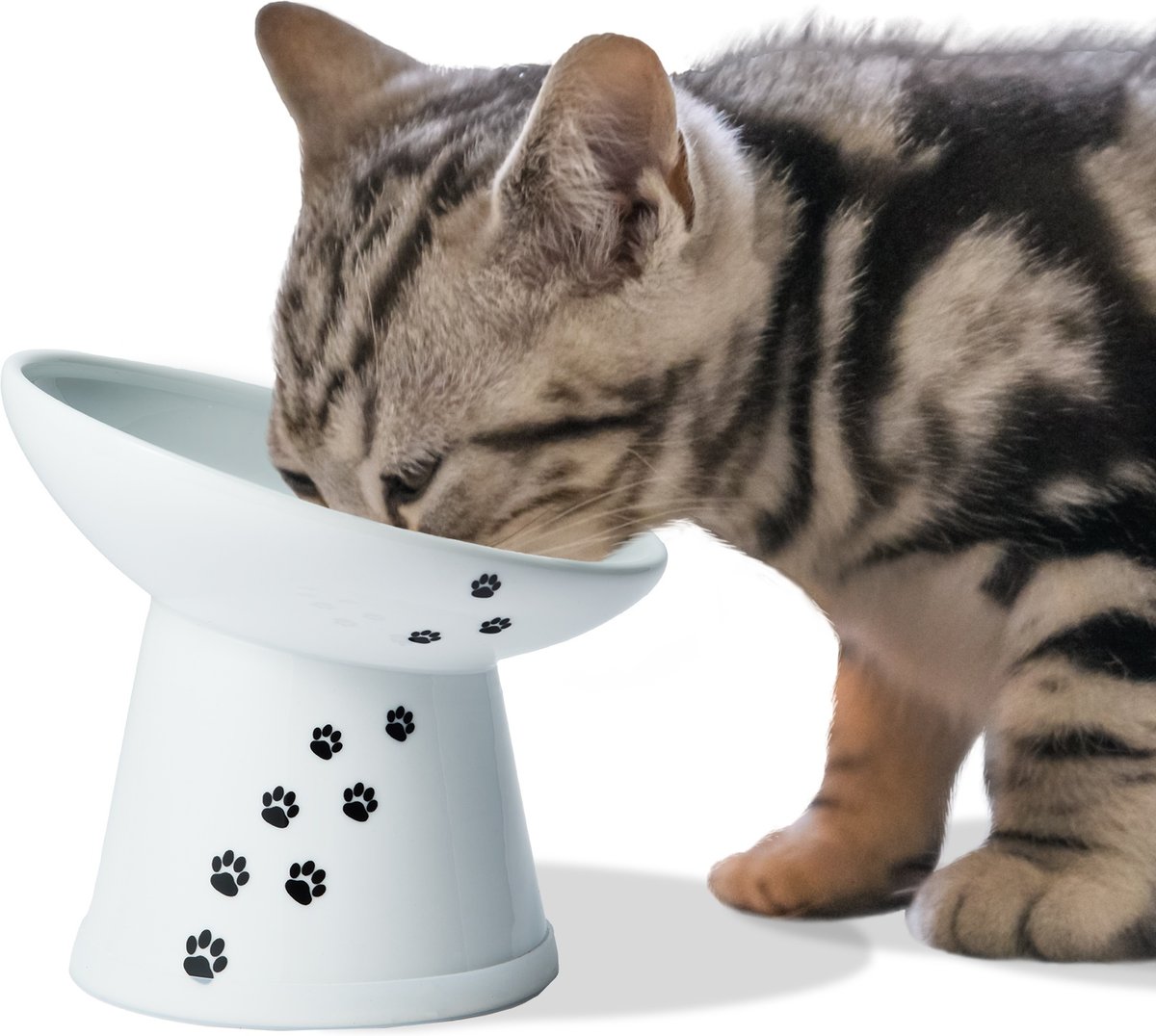 Necoichi Raised Cat Food Bowl, Nordic Blue