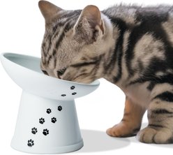 Necoichi Tilted Stress Free Raised Cat Food Bowl, White