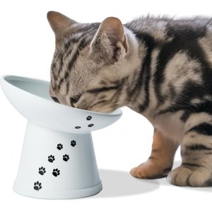 Necoichi Tilted Stress Free Raised Cat Food Bowl, White