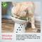 Show in main carousel: Necoichi Tilted Stress Free Raised Cat Food Bowl, White slide 4 of 8