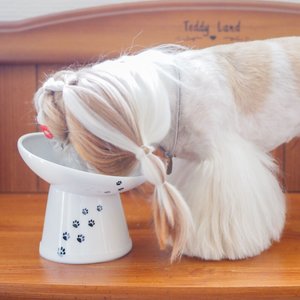 Necoichi Tilted Stress Free Raised Dog Food Bowl