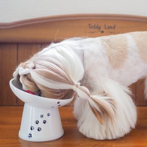 Necoichi Tilted Stress Free Raised Dog Food Bowl