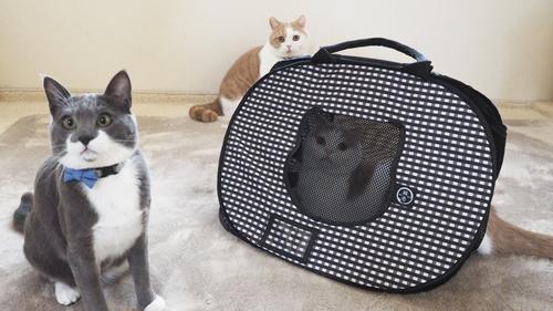 Show full view: Necoichi Ultra Light Collapsible Cat Carrier Bag slide 6 of 11