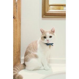 Necoichi Zen Gold Fish Charm Cotton Breakaway Cat Collar with Bell, Blue, 8.2 to 13.7-in neck, 2/5-in wide