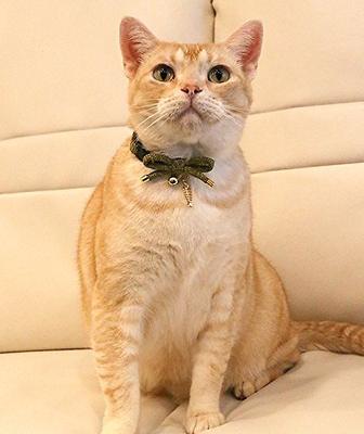 Show full view: Necoichi Zen Gold Fish Charm Cotton Breakaway Cat Collar with Bell, Green, 8.2 to 13.7-in neck, 2/5-in wide slide 2 of 4