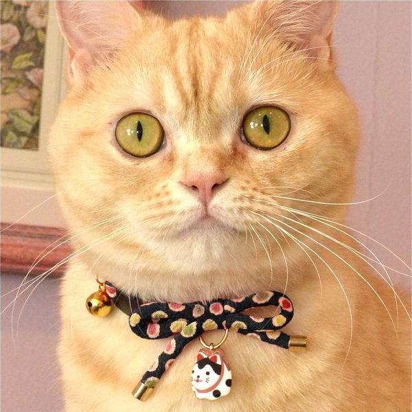 Show full view: Necoichi ZEN Hariko Charm Cotton Breakaway Cat Collar with Bell, Black, 8.2 to 13.7-in neck, 2/5-in wide slide 6 of 7