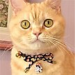 Show in main carousel: Necoichi ZEN Hariko Charm Cotton Breakaway Cat Collar with Bell, Black, 8.2 to 13.7-in neck, 2/5-in wide slide 6 of 7