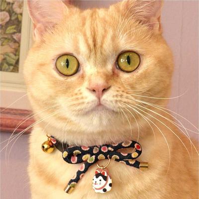 Show full view: Necoichi ZEN Hariko Charm Cotton Breakaway Cat Collar with Bell, Black, 8.2 to 13.7-in neck, 2/5-in wide slide 7 of 8