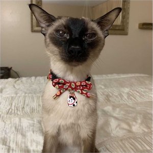 Necoichi ZEN Hariko Charm Cotton Breakaway Cat Collar with Bell, Red, 8.2 to 13.7-in neck, 2/5-in wide