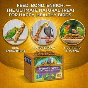 Nemeth Farms Natural Sun Dried Millet Spray Bird Food, 2-lb box