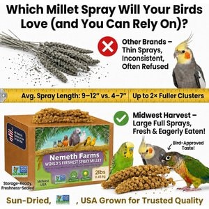 Nemeth Farms Natural Sun Dried Millet Spray Bird Food, 2-lb box