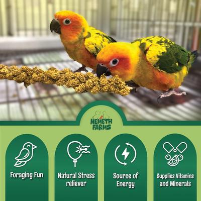 Show full view: Nemeth Farms Natural Sun Dried Millet Spray Bird Food, 2-lb box slide 4 of 7