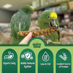 Nemeth Farms Natural Sun Dried Millet Spray Bird Food, 2-lb box slide 2 of 6