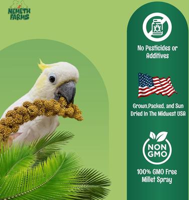 Show full view: Nemeth Farms Natural Sun Dried Millet Spray Bird Food, 2-lb box slide 3 of 7