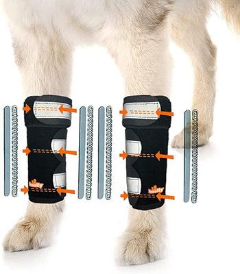 Show full view: NeoAlly 3-in-1 Front Leg Dog Splint Braces, Large/X-Large slide 1 of 9