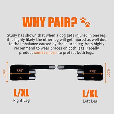 Show full view: NeoAlly 3-in-1 Front Leg Dog Splint Braces, Large/X-Large slide 3 of 9