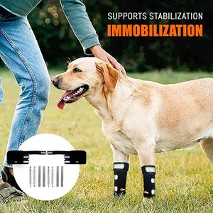 NeoAlly 3-in-1 Front Leg Dog Splint Braces, Large/X-Large