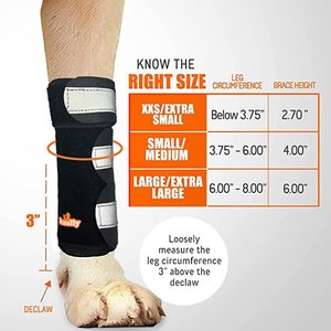 NeoAlly 3-in-1 Front Leg Dog Splint Braces, Large/X-Large