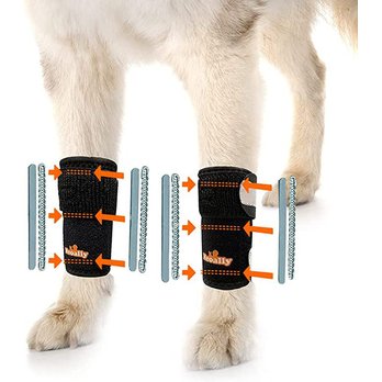Dog Braces Splits Free shipping Chewy