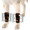 Show in main carousel: NeoAlly 3-in-1 Front Leg Dog Splint Braces, Small/Medium slide 1 of 9